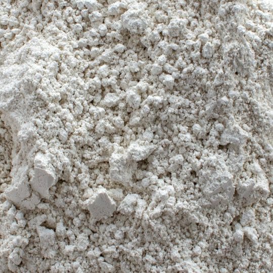 DIatomaceous Earth